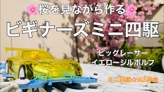 [ミニ四駆☆MA革命] 青空の下で桜を見ながら「ビギナーズミニ四駆」ピッグレーサーを作る‼️ [mini4wd]