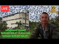 live || membahas rumah burung walet suara dan sarang burung walet ||