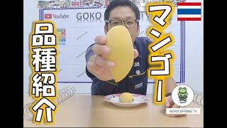 【タイの果物】全部で170種以上！タイの美味しいマンゴーの品種をご紹介！