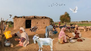 The Daily Routine of Desert Village Women-Traditional cooking || desert calture Pakistan