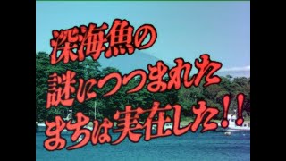 緊急スペシャル「深海魚の謎につつまれたまち」／Emergency Special:  The City Swimming with Mysteries from the Deep!