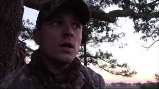 MARYLAND SIKA DEER HUNTING