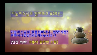 아눌라스님의 정통위빠사나/위빠사나 명상 16단계/vipa16-2 (수정본) [인류최초, 고통의 완전한 소멸]