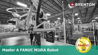 Mastering a Fanuc M20iA