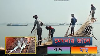 মেঘনা নদী থেকে বড় জালে বড় মাছ শিকার/Big Fishing in Meghna River /Fishing Documentary of Meghna River