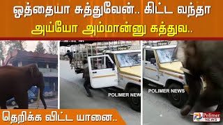 துணிவுடன் வந்த காட்டு யானை..  உயிரை காக்க சிதறிய மக்கள்.. தீயாய் பரவும் வீடியோ..!