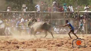 மதுரை கருப்பாயூரணி கார்த்தி வடத்தின் நாயகன் whatsapp status மாங்கோட்டை வடம் 2022.