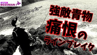 完全敗北…磯際の攻防で大型青物にぶっちぎられる…【北海道釣り】【ブリ釣り】