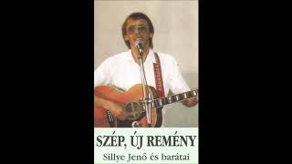 Sillye Jenő - Apja bűnéért