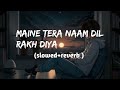 Maine Tera Naam Dil Rakh Diya ( slowed+reverb)  । Raghav Chaitanya । Ek Villain Returns ।