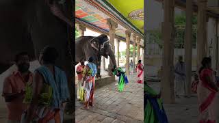 Gigantic Elephant blessing pilgrims at kumbeshwarar