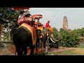 why elephant riding is bad elephant ride the planet voice