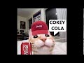 soda cats