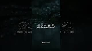 "O you who have believed, fear Allah." Surah Al-Hashr: Verse 18