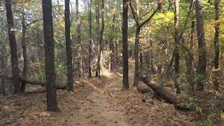 1. 마구산 등산로 걷기 (경기도 용인시 고림동 근처) 입구에서 정상까지 8Km