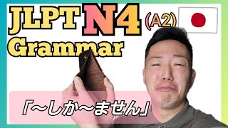 JLPT N4 【Grammar】 #1 文法「～しか～ません」