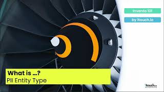 Inventa 101 - What is PII Entity Type?