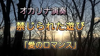 オカリナで　禁じられた遊び　「愛のロマンス」