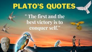 Plato quotes to freshen up your life philosophy wisdom and knowledge must watch part-1| plato quotes