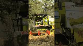 Vishal 435  harvester #farming #kheti #farmer #shortvideo #khetibadi #automobile #youtubeshorts