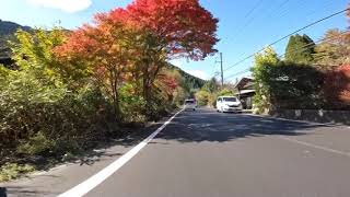 自転車天国　とちぎ　大芦渓谷紅葉ライド