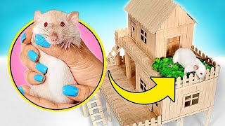 LET’S MAKE POPSICLE STICK HOUSE FOR PET RAT || EASY DIY 🏠🐀