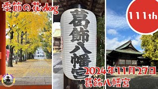 111回目 2024年11月27日 葛飾八幡宮