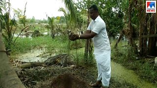 കോട്ടയം ജില്ലയുടെ പടിഞ്ഞാറൻ മേഖലയിലെ കൃഷിയിടങ്ങൾ നശിച്ചു | Kottayam - vaikom