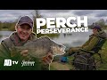 Phil Spinks Specimen Series - Large Commercial Perch