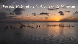 Wild Spain - Capítulo 174 - Parque Natural de la Albufera de Valencia.