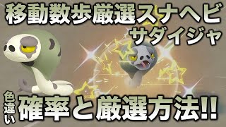 【移動数歩!!色違い厳選】スナヘビ・サダイジャ編!!【ポケモンSV/スカーレット・バイオレット】