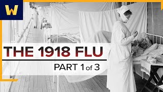 The 1918 Spanish Flu—A Conspiracy of Silence | Part 1 of 3