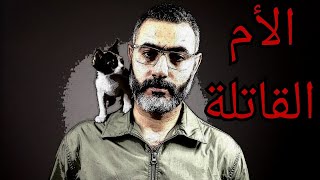 لماذا تأكل القطط صغارها؟ وما الحل؟