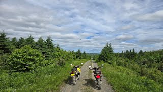 CRF300L and DRZ400 does a loop around St-Leonard!