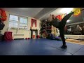 xinhui choy lee fut kungfu 新会蔡李佛