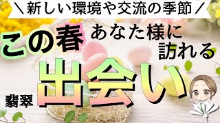 〜新しい環境や交流の季節〜この春あなた様に訪れる出会い🪄︎︎✨[タロット･オラクル]