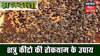 ANNADATA | मधुमक्खियों के शत्रु कीटो की रोकथाम के उपाय | 2 June 2019