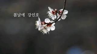 [시낭송 - leeum] 강인호 시집 - 울보풀꽃 중  봄날에