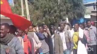 ሰበር ዜና|| መንእሰይ ተምቤን ኣንፃር ጀነራላት ትግራይ ተላዒሎም።