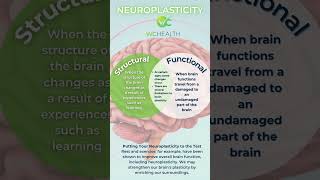 Neuroplasticity