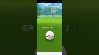 Pokemon GO 色違 雷吉艾斯