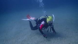 可愛いくまさんダイバーが尾鷲の海をのんびり楽しんでいます