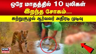 Tiger Survive | ஒரே மாதத்தில் 10 புலிகள் இறந்த சோகம் - சுற்றுசூழல் ஆர்வலர் அதிரடி முடிவு | Ooty