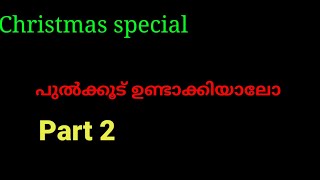 🔥പുൽക്കൂട് ഉണ്ടാക്കിയാലോ🔥 | part 2 | crib making |