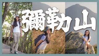 遍山芒草｜彌勒山郊遊徑．心經簡林．昂坪棧道｜香港第八高峰｜欣賞鳳凰山好地方｜大嶼山獨有山景｜香港行山好去處