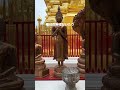 タイ北部で最も神聖と言われてるドイステープ寺院に行ってきた！ shorts 海外旅行 旅行動画 チェンマイ ドイステープ寺院