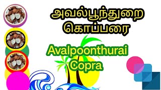 27/12/2024 அவல்பூந்துறை கொப்பரை விலை | Avalpoonthurai Copra Price