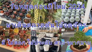 ตลาดตันไม้จตุจักร ไม้ดอก ไม้ประดับ ๆ.