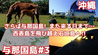 【与那国島３】さらば与那国島！　また来る日まで…オリオンビールで乾杯　RAC746便機内ではCAさん手作りの地図がもらえたよ！！【旅log】