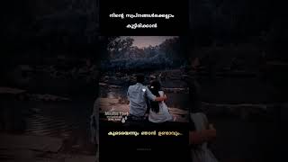 നിന്റെ സ്വപ്നങ്ങൾക്കെല്ലാം കൂട്ടിരിക്കാൻ കൂടെയെന്നും ഞാൻ ഉണ്ടാവും.. ✍️✍️